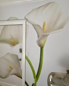 3ed49cb7-55e4-4a8f-9b33-ccf42a2e9f12