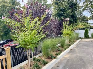 6bff91e0-2a87-4cf6-9c44-f9e61d532c2b